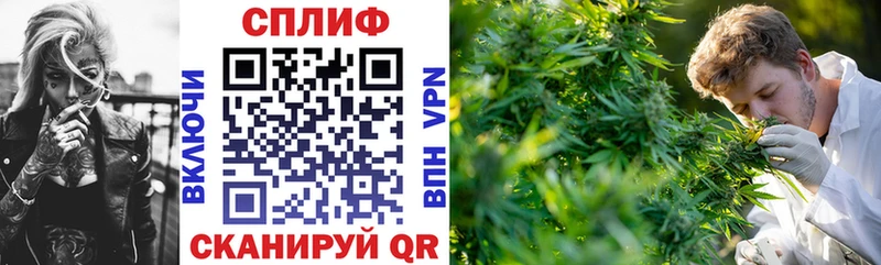 Как найти наркотики Ленинск-Кузнецкий ГАШ СК Меф COCAIN