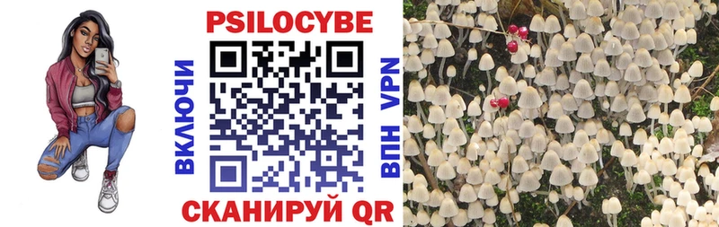 Псилоцибиновые грибы MAGIC MUSHROOMS  купить наркотики сайты  omg онион  Ленинск-Кузнецкий 